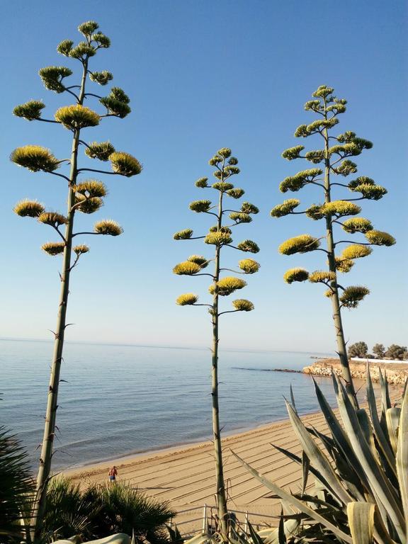 Villa Del Mar 아볼라 외부 사진